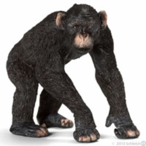 Schleich Urossimpanssi 14678