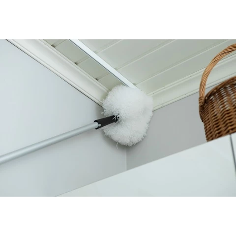 Pölyhuiska Sini pampula