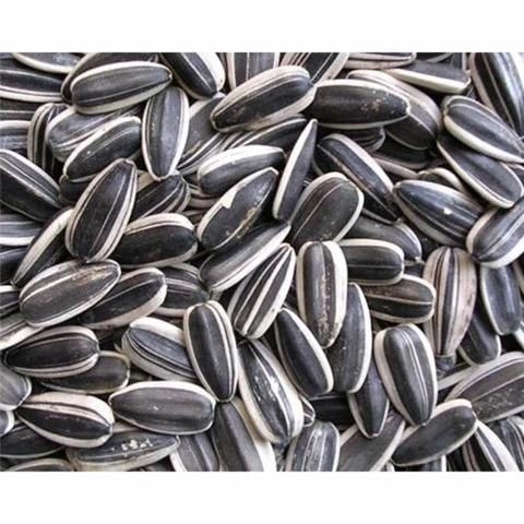 Bird food sunflower 25 kg