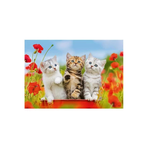  Ravensburger Puzzle 12 x 2 cats