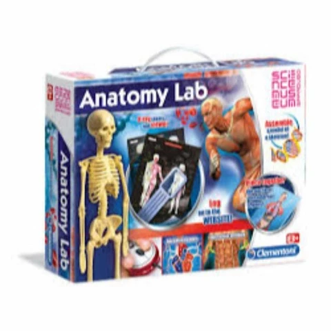 Clementoni Anatomian labra science kit
