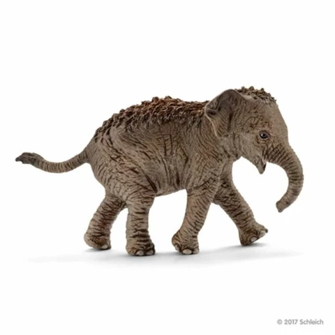 Schleich W Norsun Poikanen Aasia