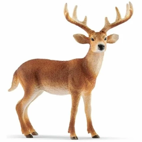 Schleich White-tailed deer male 14818
