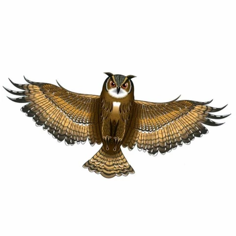 Gunther Owl Kite 