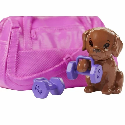 Barbie Wellness Fitness doll and dog