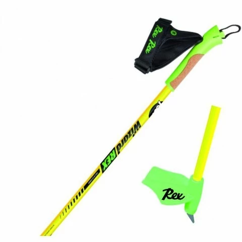 Rex Wizard Ski Poles