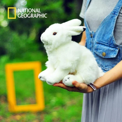 National Geographic rabbit plush 25 cm