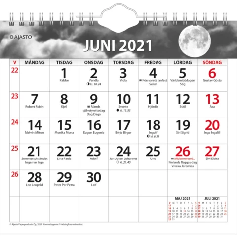 Kalenteri seinäkalenteri Luna 2021