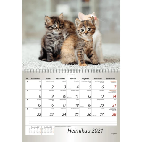 Kalenteri seinäkalenteri eläinlapset 2021