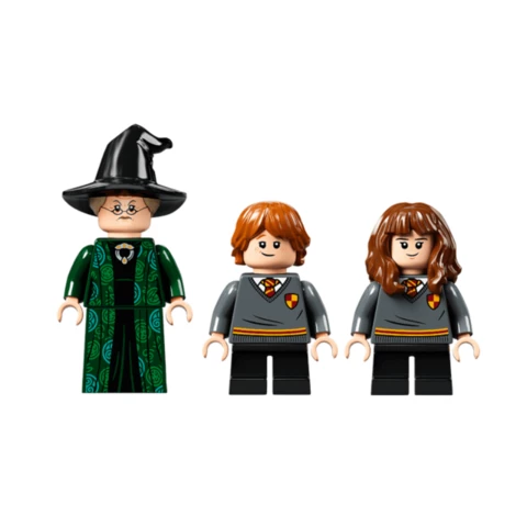 Lego Harry Potter 76382 Oppitunti Tylypahkassa: Muodonmuutokset