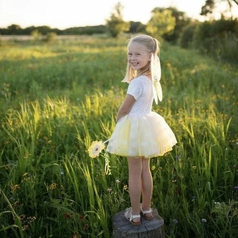 Wings and tutu daisy flower fairy costume Great Pretenders