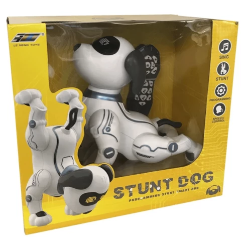 Stunt Dog temppukoira
