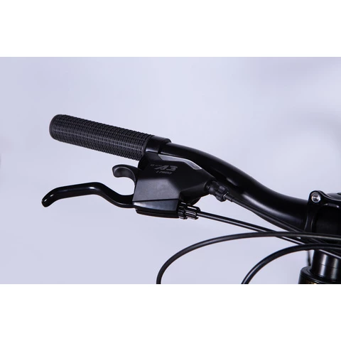 Discovery BASTION maastopyörä 26" 24-v (Ruskea, 26'')