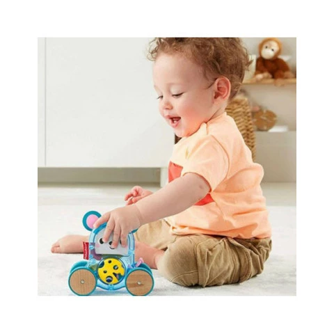 Fisher -Price pushable mouse toy on wheels