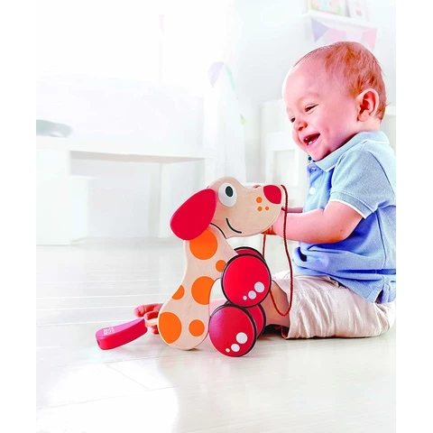 Dog pulling toy Hape online at the best price Urheiluperhe