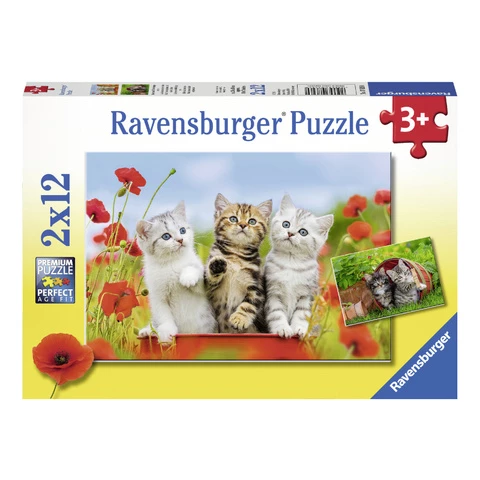  Ravensburger Puzzle 12 x 2 cats