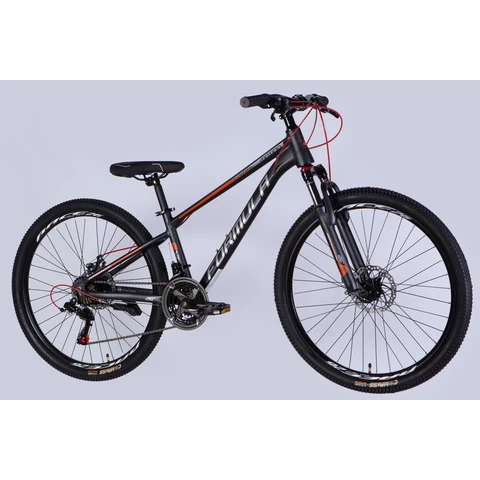 Formula MOTION 26" 21-v maastopyörä  harmaa-hopea (Harmaa, 26'')