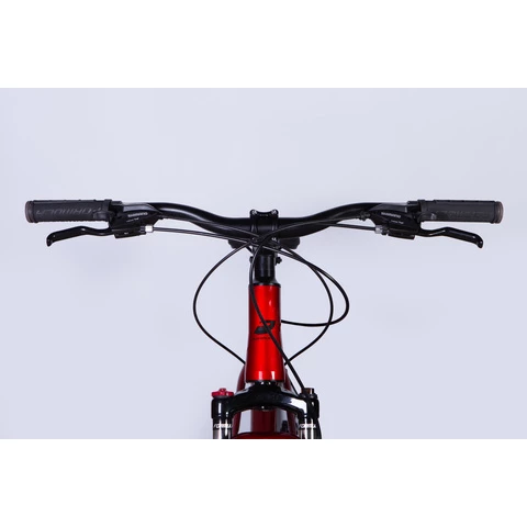 Formula MOTION 29" 21-м maastopyörä punainen-hopea (Punainen-hopea, 29")