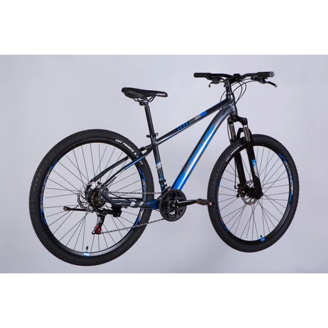 Formula SPACE MERCURY maastopyörä 29" 21-v harmaa-sininen (harmaa-sininen, 29")