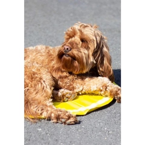 Rosewood Cooling mat for dogs lemon