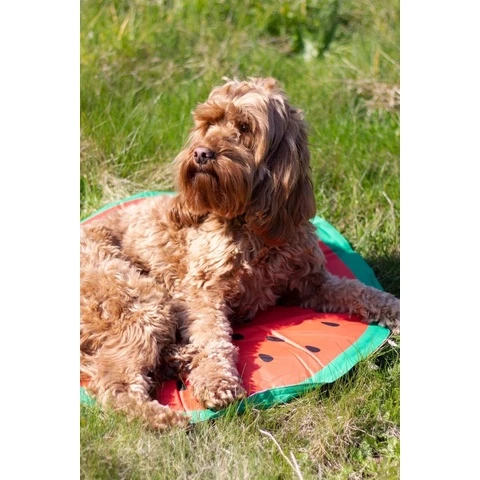 Rosewood cooling mat for dog watermelon